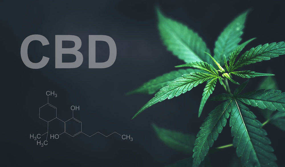 What is the Difference Between Full Spectrum CBD and Broad Spectrum CBD?